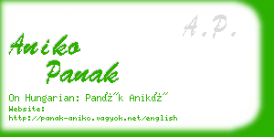 aniko panak business card